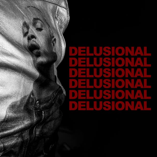 DELUSIONAL cover