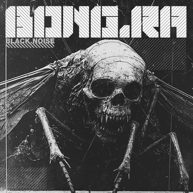 Black Noise cover