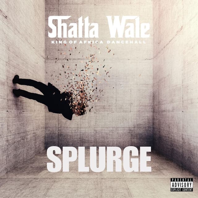 Splurge cover