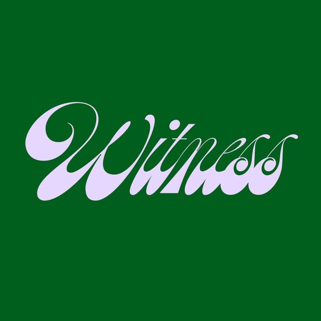 Witness cover