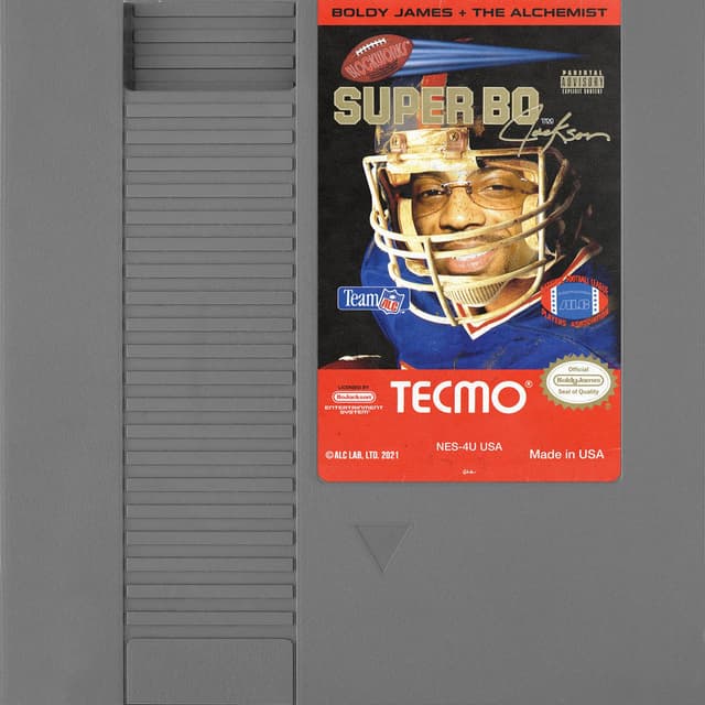 Super Tecmo Bo cover