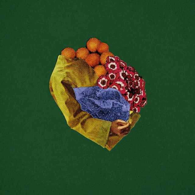 Ivy cover