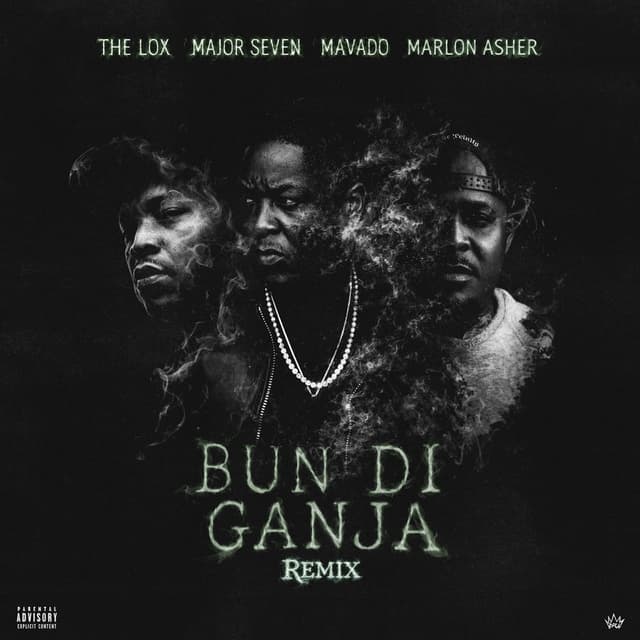 Bun Di Ganja (Remix) cover