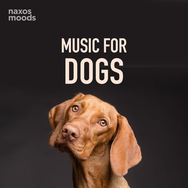 Music for Dogs cover