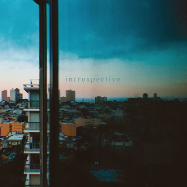Introspective cover