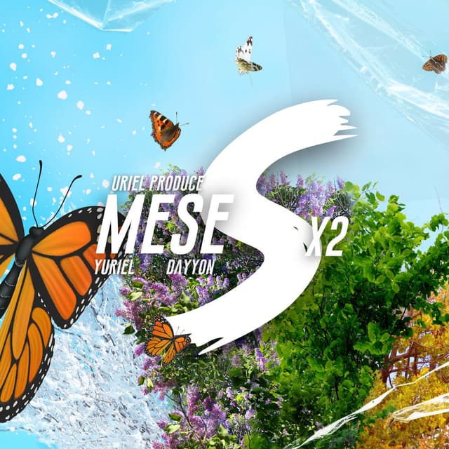 Meses X2 cover