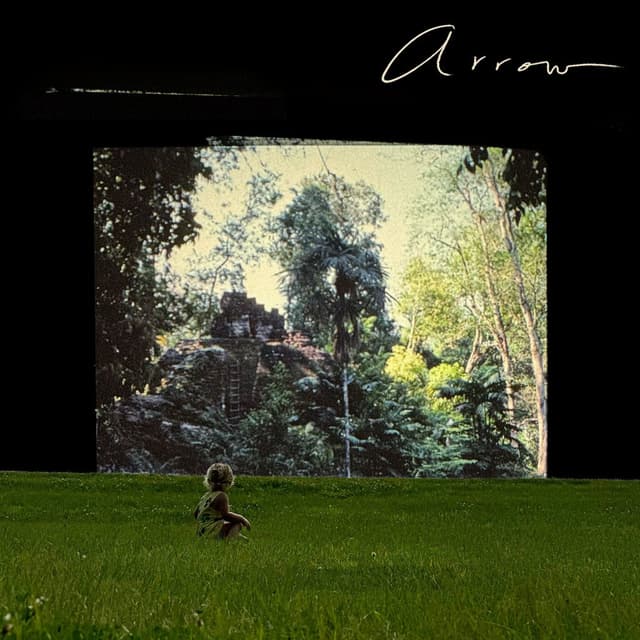 Arrow cover