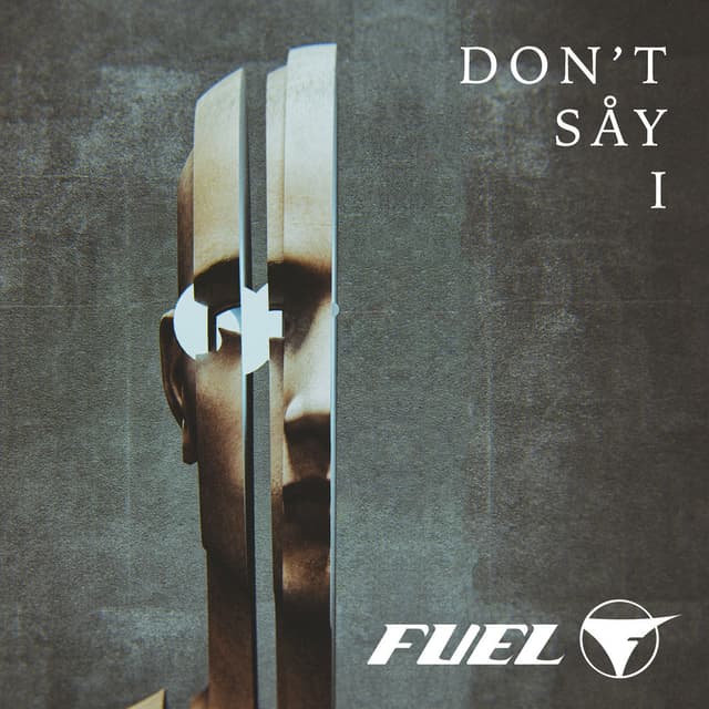 Don't Say I cover