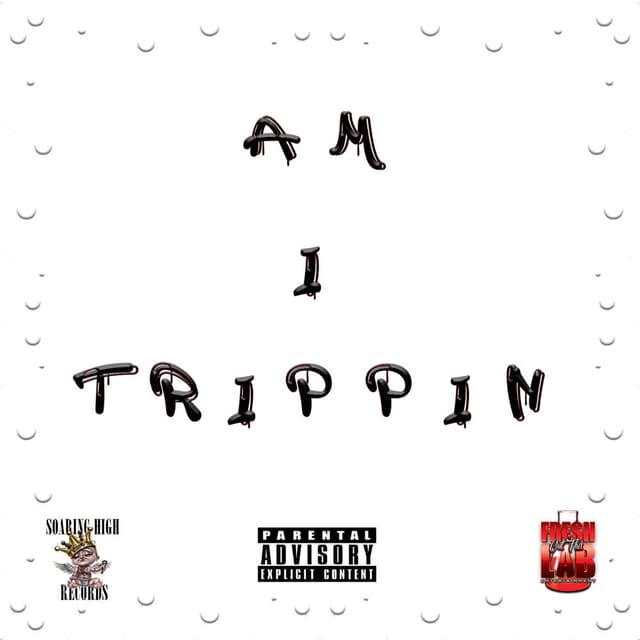 AM I TRIPPIN cover