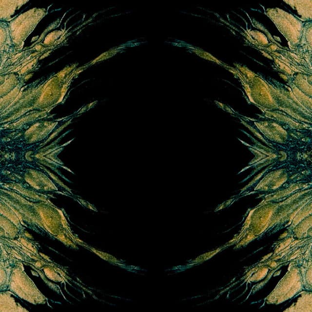 Down in the Bayou cover