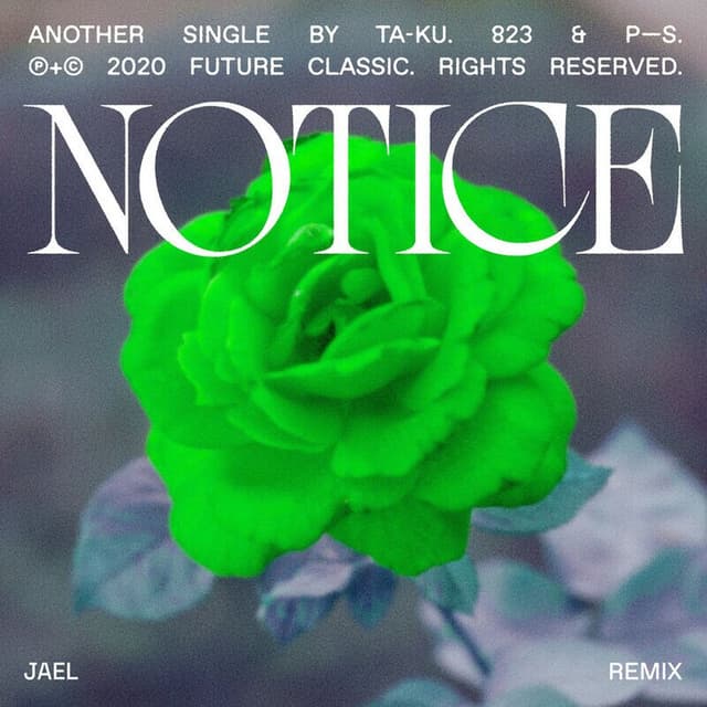 Notice (JAEL Remix) cover