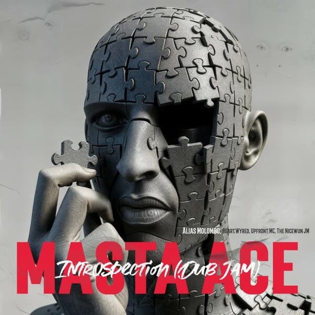 Introspection (Dub Jam) cover