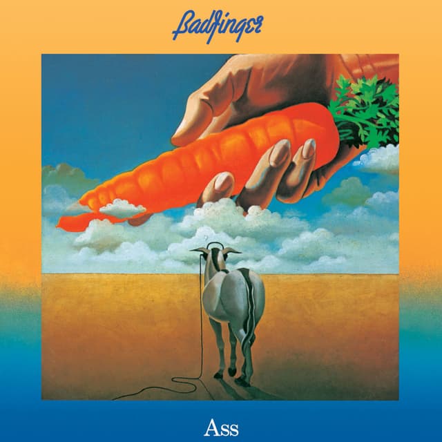 Ass cover