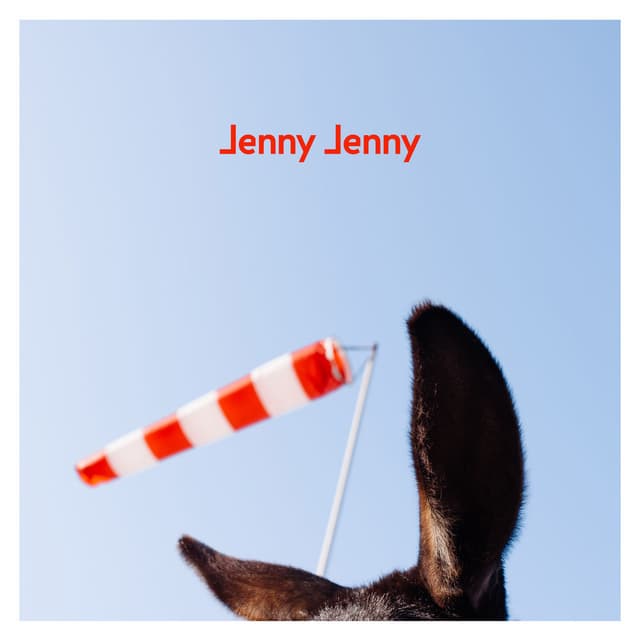 Jenny Jenny (Esel Session) cover