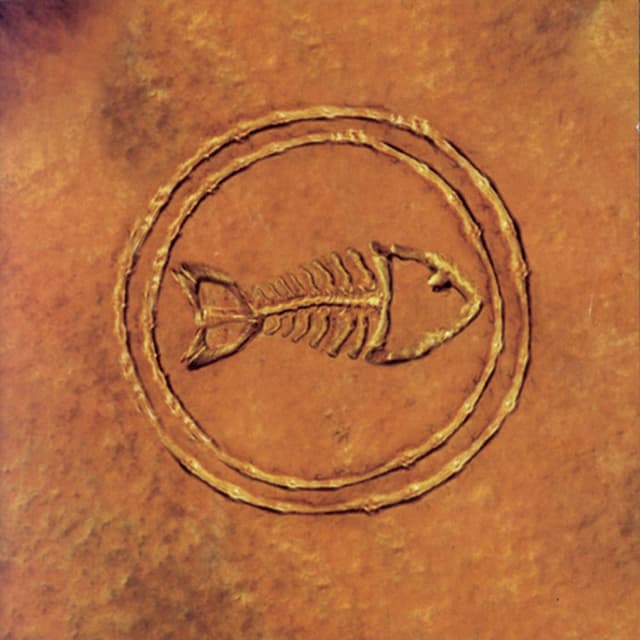 Fishbone 101: Nuttasaurusmeg Fossil Fuelin' the Fonkay cover