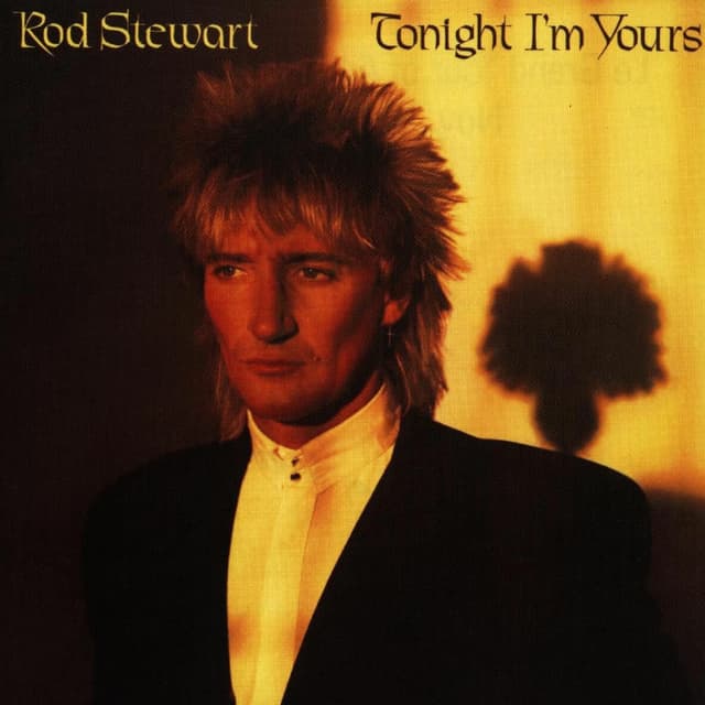 Tonight I'm Yours album cover