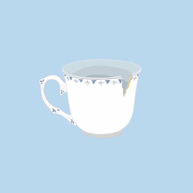 porcelain cover