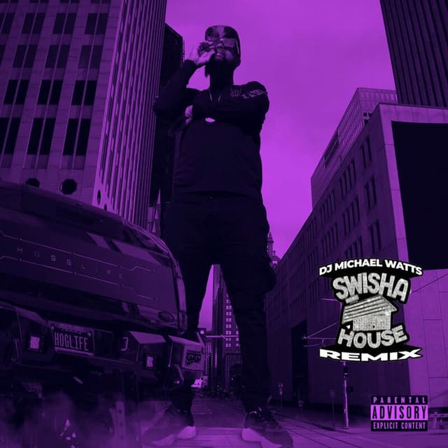 BIGslim (Swisha House Remix) (Edited) cover
