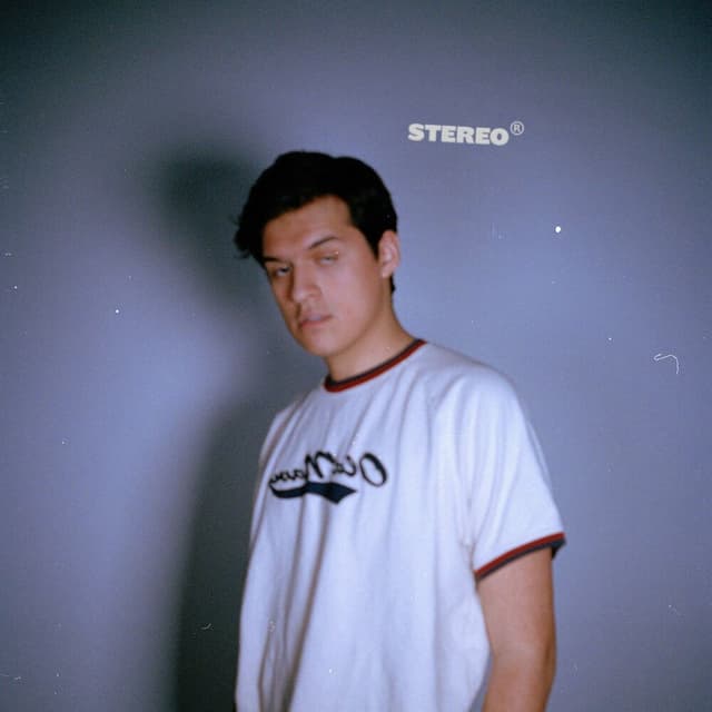 Stereo cover