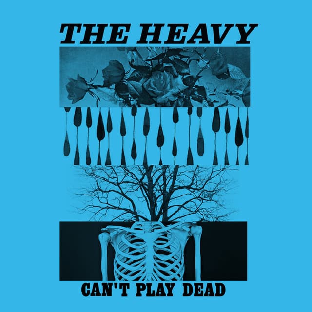 Can't Play Dead cover