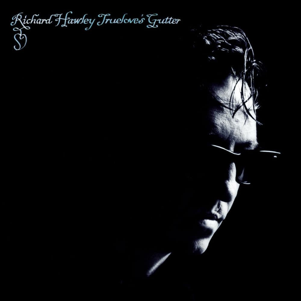 Truelove's Gutter cover