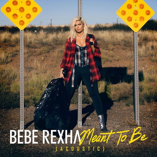 Meant to Be (Acoustic) cover