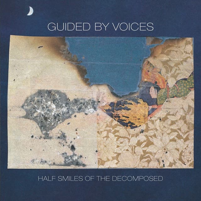 Half Smiles of the Decomposed cover