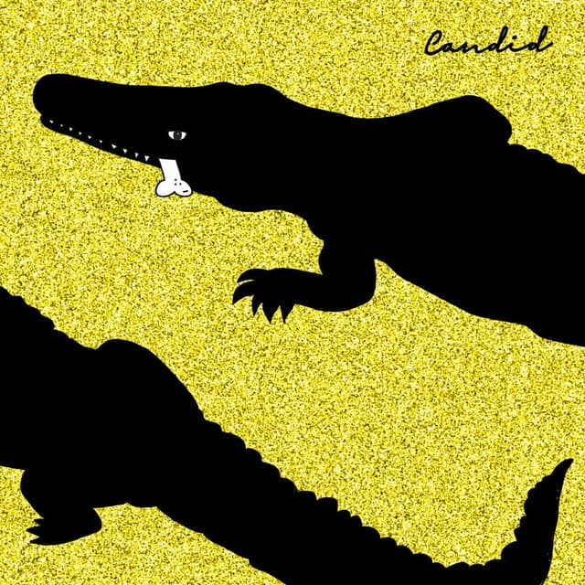 Candid cover