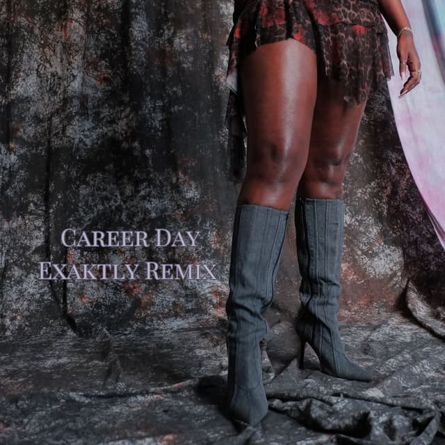 career day (Exaktly remix) cover