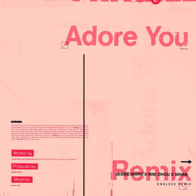 Adore You (Endless Remix) cover