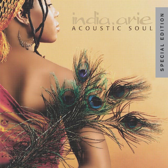 Acoustic Soul - Special Edition cover