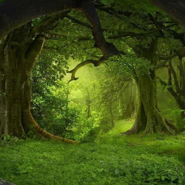 Sound of Nature cover