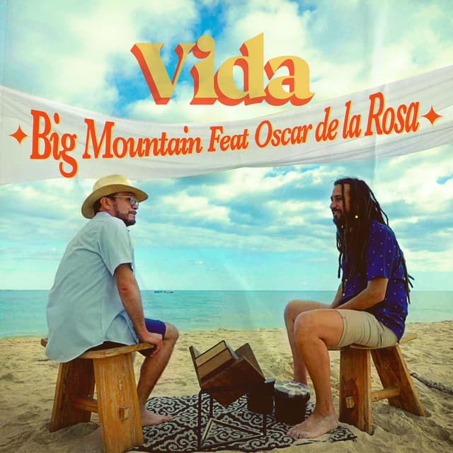 Vida cover