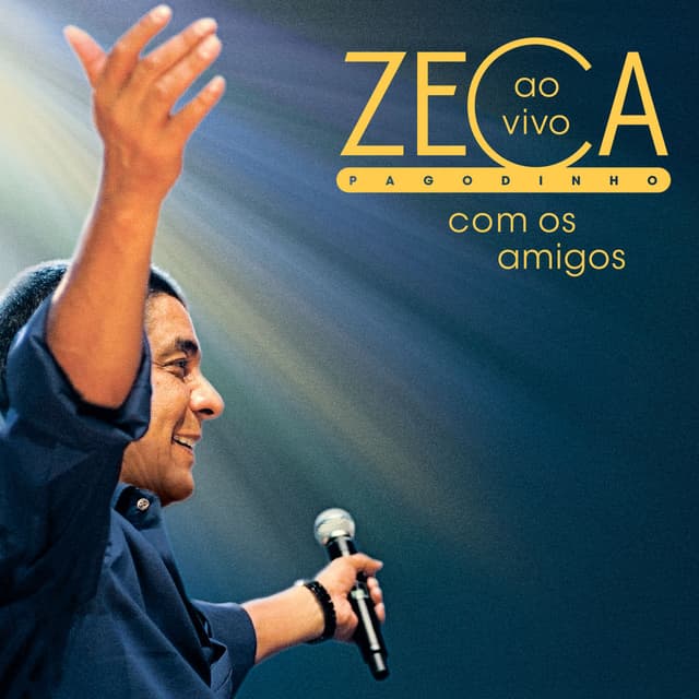 Ao Vivo Com Os Amigos cover