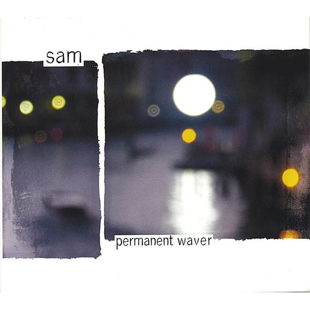 Permanent Waver cover