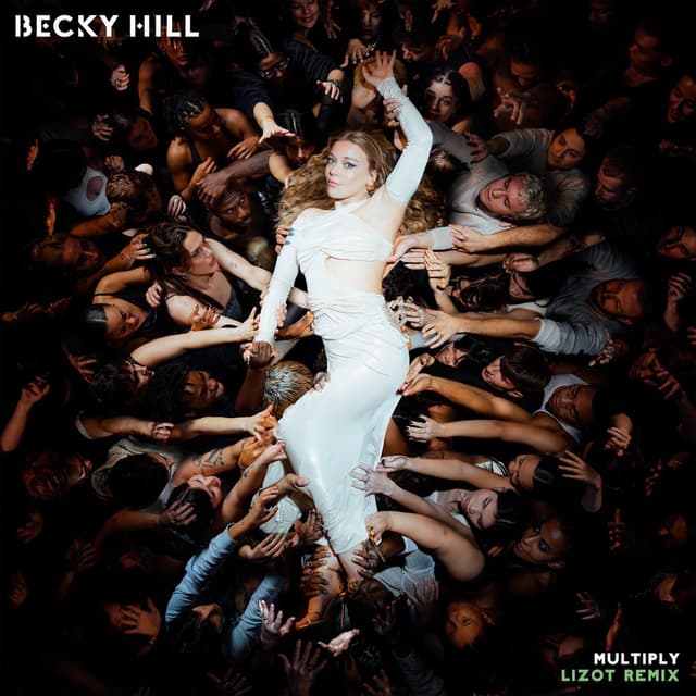 Multiply (LIZOT Remix) cover