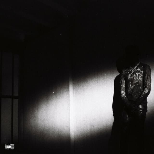 NO STYLIST album cover