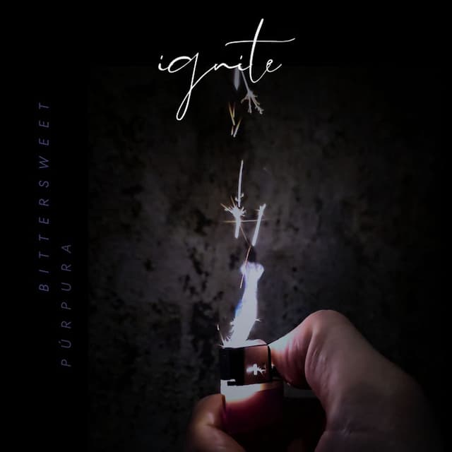 ignite cover