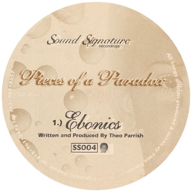 Pieces of a Paradox cover