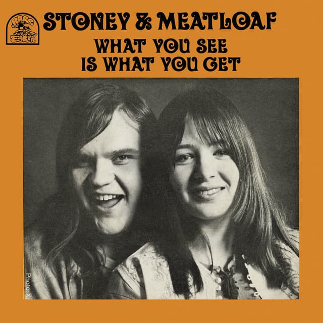 What You See Is What You Get: The Motown Recordings cover