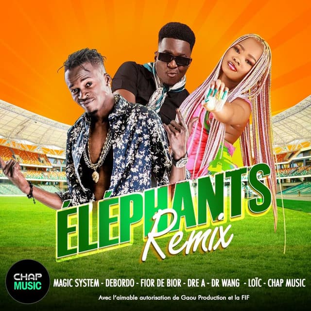 Elephants (Dr Wang Remix) cover