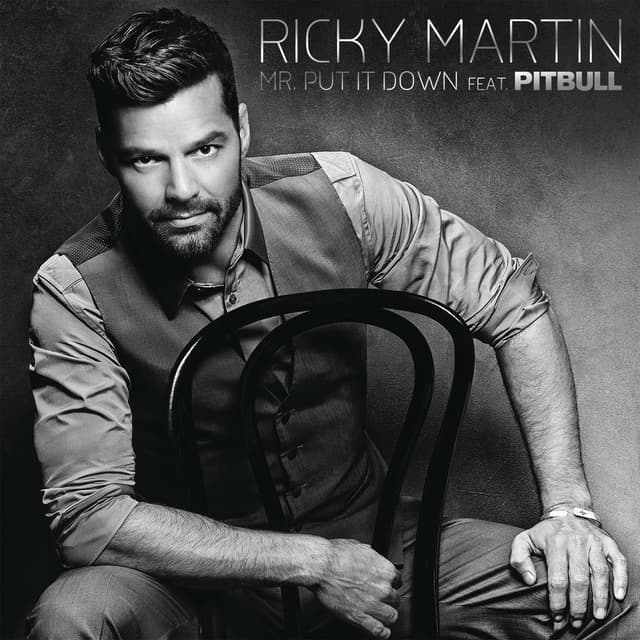 Mr. Put It Down (feat. Pitbull) cover