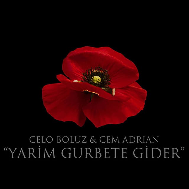 Yarim Gurbete Gider cover