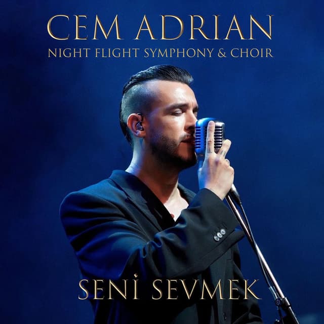 Seni Sevmek (Live) cover