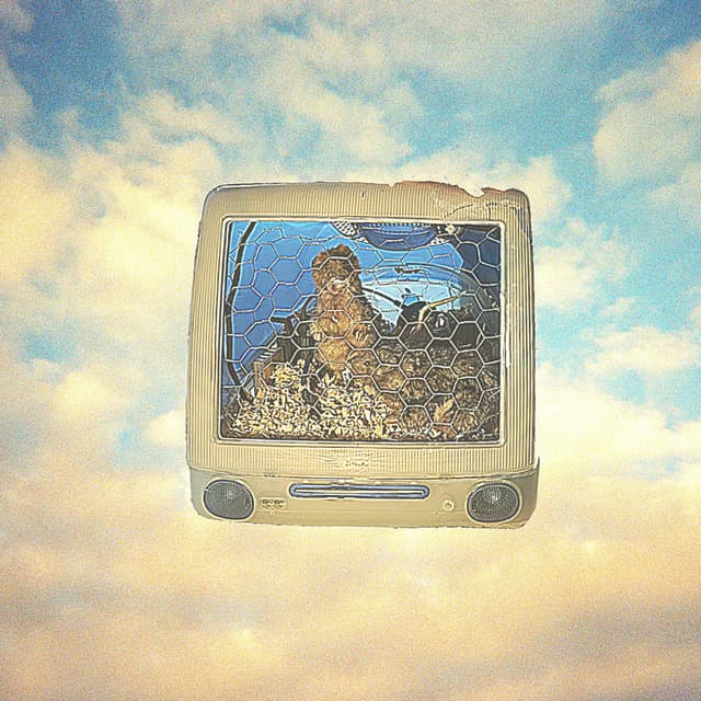 Mysteries for Rats cover