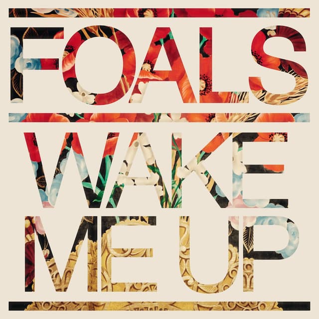 Wake Me Up cover