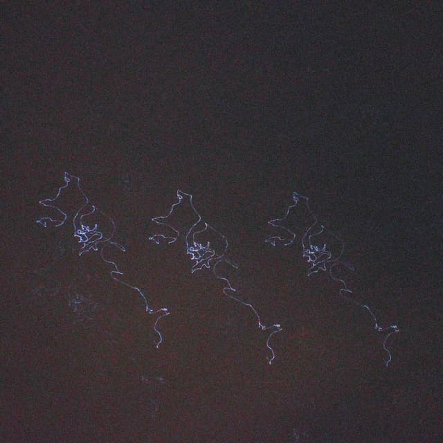 sidereal crumbs cover