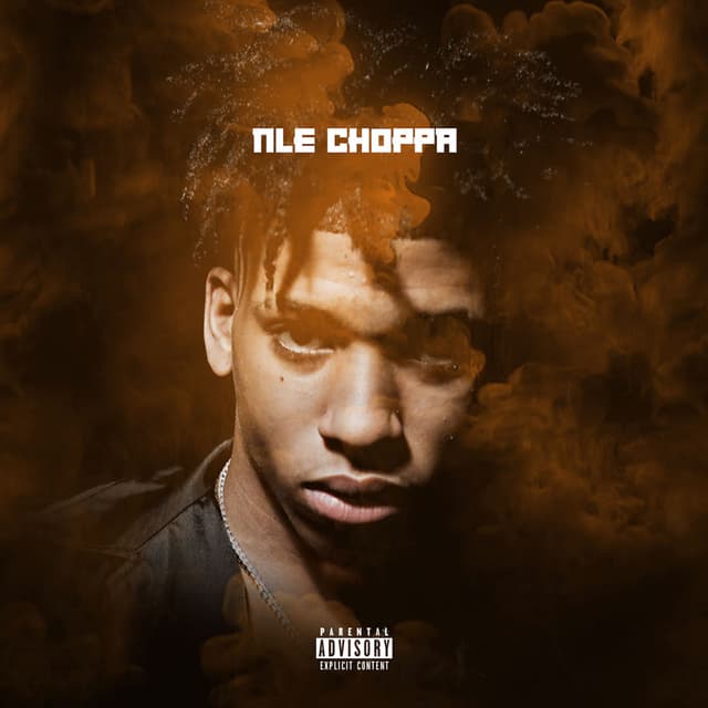 NLE Choppa album cover