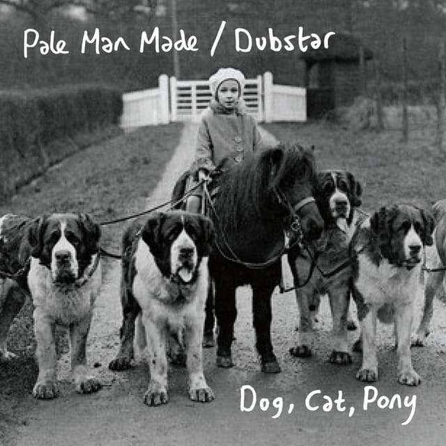Dog, Cat, Pony - Single cover