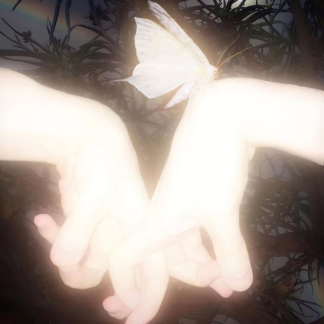 a new kind of of love - dream1x remix cover